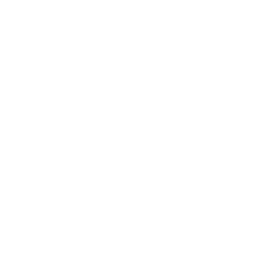 Group