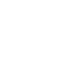 Hand